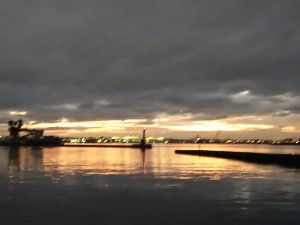 DSC_1311