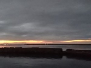 DSC_1313