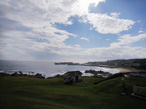 DSC_1318
