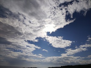 DSC_1319