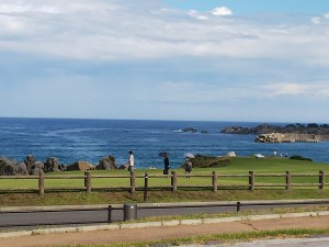DSC_1326