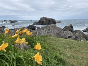 IMG_1333