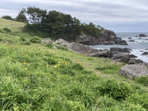 IMG_1337