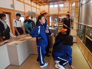 DSCN0029