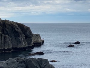 IMG_8654