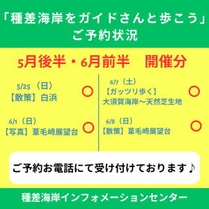 5月後半・６月前半　予約状況②