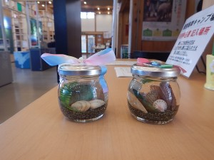 DSCN0437