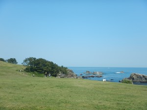 DSCN0481