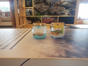 DSCN0507