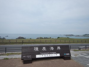 DSCN0524
