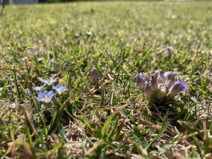 IMG_0753