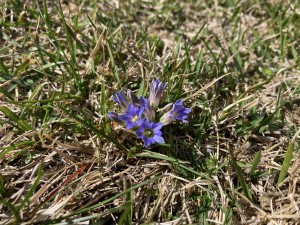 IMG_0760