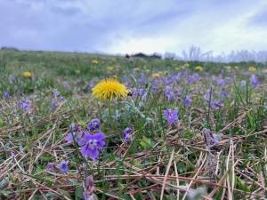 IMG_0848