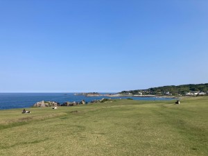 IMG_0982