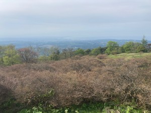 IMG_1096