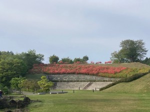 IMG_1117