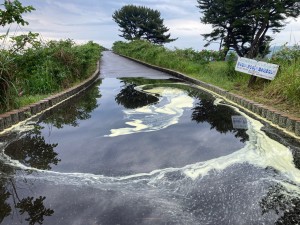IMG_1613