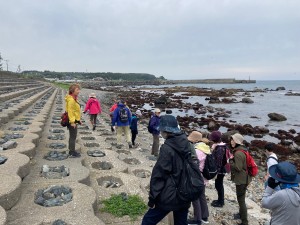 IMG_1934