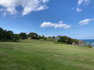 IMG_2152