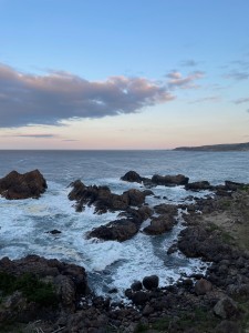 IMG_2537