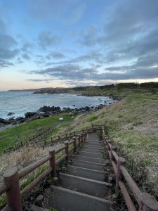 IMG_2539