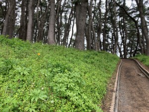 IMG_2630
