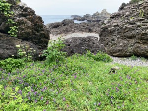IMG_2637