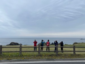 IMG_2765