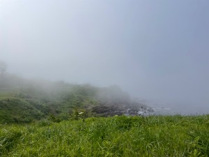 IMG_3201
