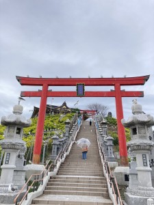 IMG_4952