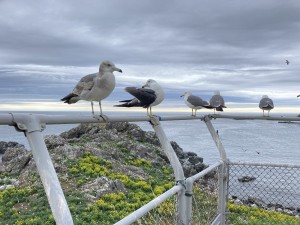 IMG_5013