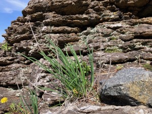 IMG_9751