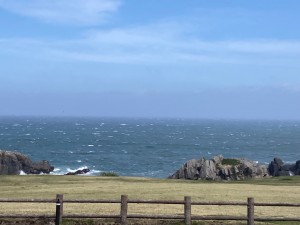 IMG_9839