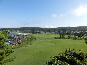 種差海岸天然芝生地