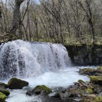 oirase gorge