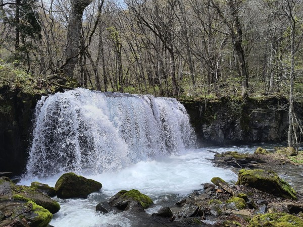 oirase gorge