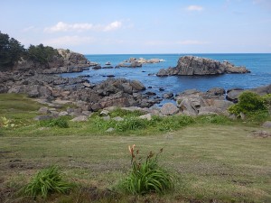 DSCN0533