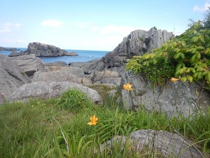 DSCN0537