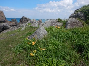 DSCN0539