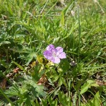 DSCN0542