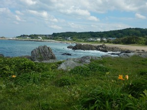 DSCN0546