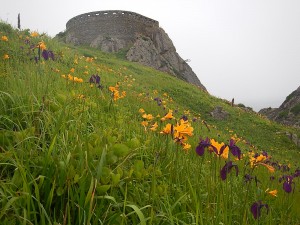 DSCN3784