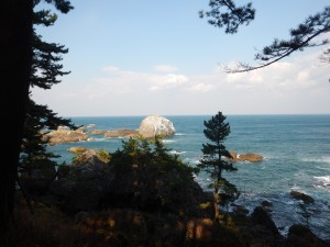 DSCN5545