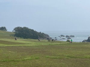 IMG_3317