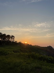 IMG_3421