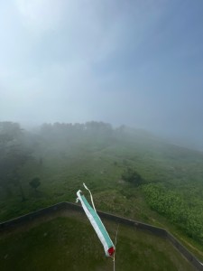 IMG_3505