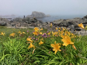 IMG_4265