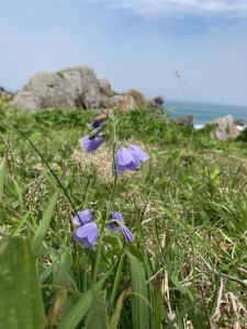 IMG_4275