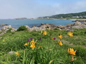IMG_4603