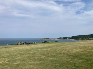 IMG_4695